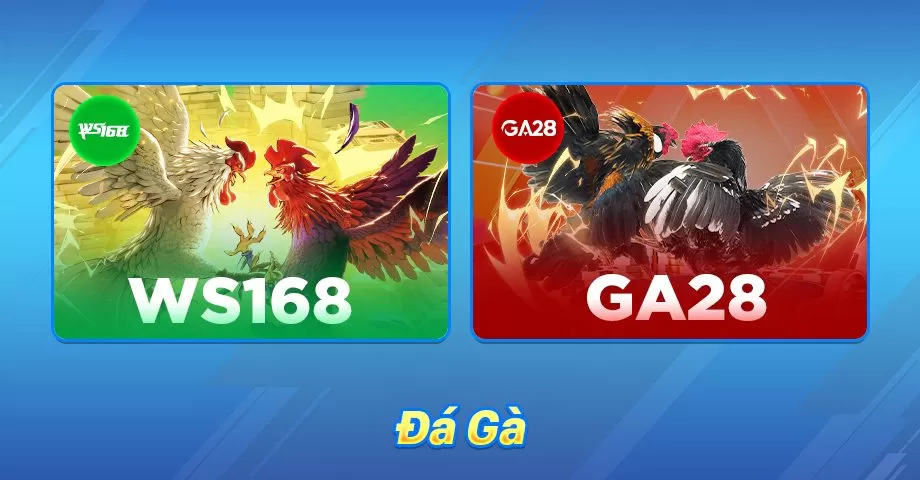 đá gà ww88